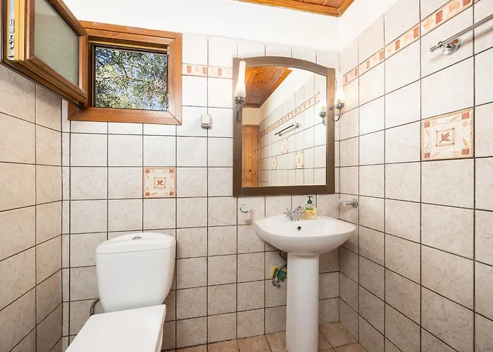 Old Vineyard וילה