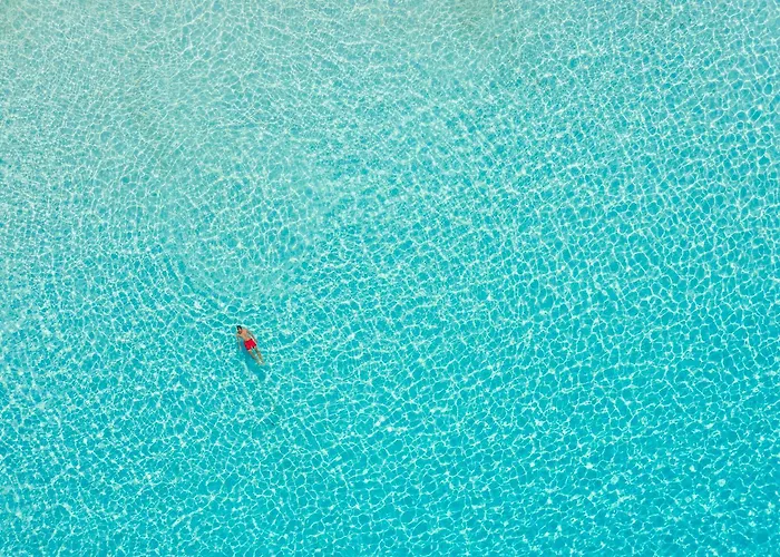 Old Vineyard וילה